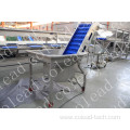 Commercial Pre-soak Washing Elevator for food processing